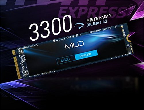 SSD M2 MLD M300 1TB 2280 GEN3X4 3300/3100 MBPS NVMe